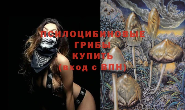 apvp Киренск