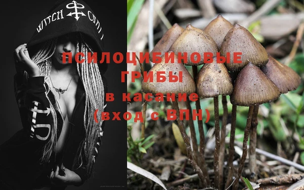 apvp Киренск
