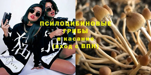 мдпв Киреевск