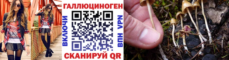 Псилоцибиновые грибы прущие грибы  Купить закладки  Яхрома 