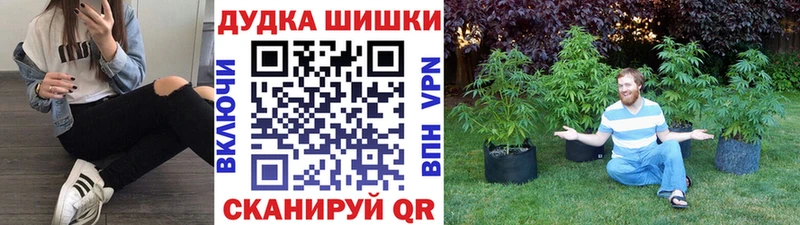 Купить где  Яхрома  Бошки марихуана план 